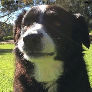 Meet your Posher, Jadey